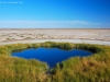 Oodnadatta_BlancheCup1_1200T