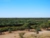 Oodnadatta_Flussgrün_1200T