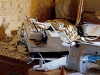 maschine1_1400
