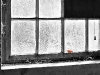 schmetterling_ckey_1400