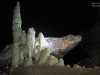 andre_sinter1_1200_txt