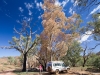 Flinders_Brachina1_1000h