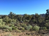 Flinders_GrindellCampspot_1200T