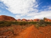 Olgas_Fern1_1200T