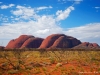 Olgas_Fern2_1200T