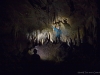Crotot_JensPose1_1200T