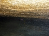 klo25-siphon-paleo-1000