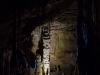 paranco_grtropfst_1_1000h