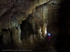 paranco_grtropfst_2_1200