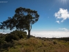 Maido_UeberdenWolken1_1200T