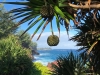 PinPin_Ausblick_1000ht