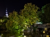 flussbaumlicht1-1200