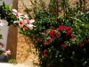 blumen1-1200