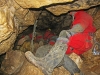 rossgall_vorbereitung_1200