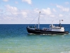 schiff1_1200