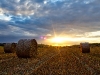 sonnenuntergang_feld1-olohdr-1400final