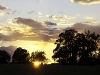sonnenuntergang_vogel1