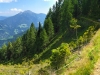 Hochwarth_Singletrail_Pano_1600