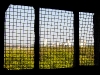 gitter-ausblick-1200