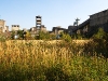 totale-herbst1-1200